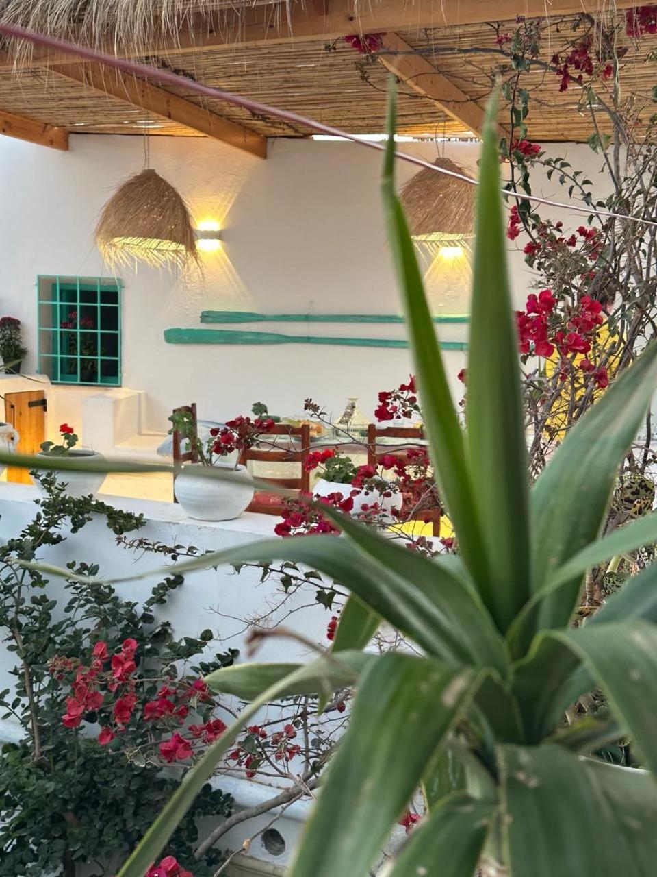 Bed and Breakfast Dar El Mahdia By Daldoul Exteriér fotografie